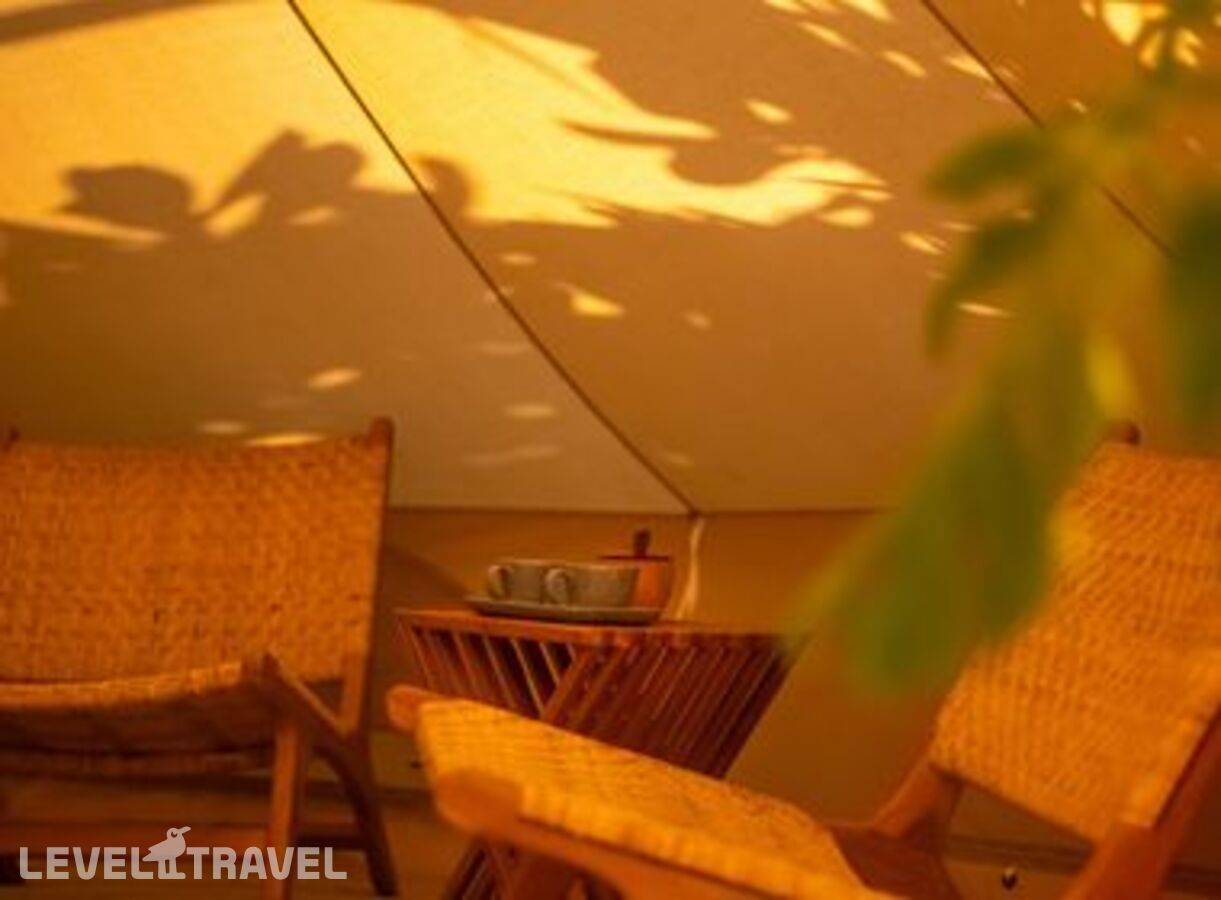 фотографии отеля The Maverick Surf & Dive Lodge Guesthouse в Мальдивы(Лааму Атолл) - фото №49