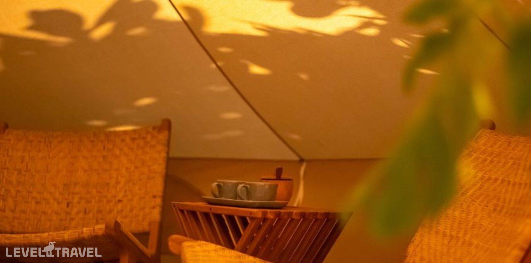 фотографии отеля The Maverick Surf & Dive Lodge Guesthouse в Мальдивы(Лааму Атолл) - фото №4