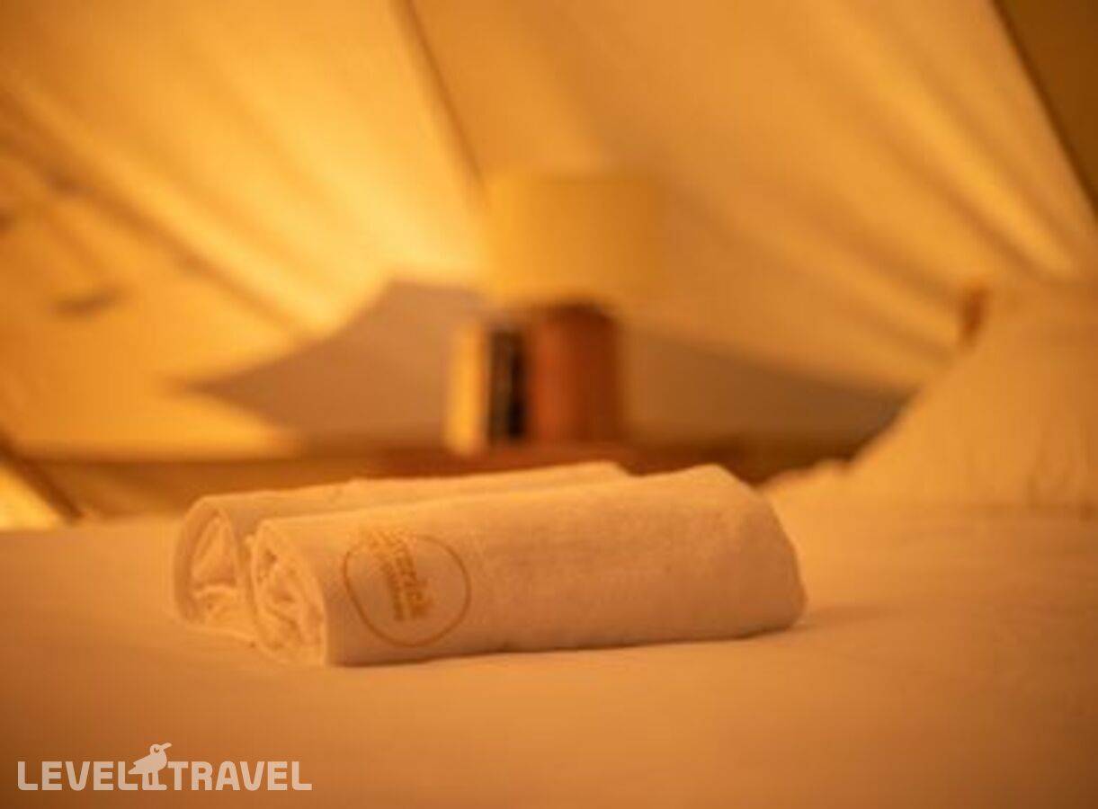 фотографии отеля The Maverick Surf & Dive Lodge Guesthouse в Мальдивы(Лааму Атолл) - фото №40