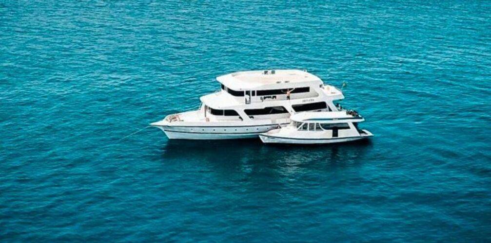 The Maverick Surf & Dive Lodge Guesthouse