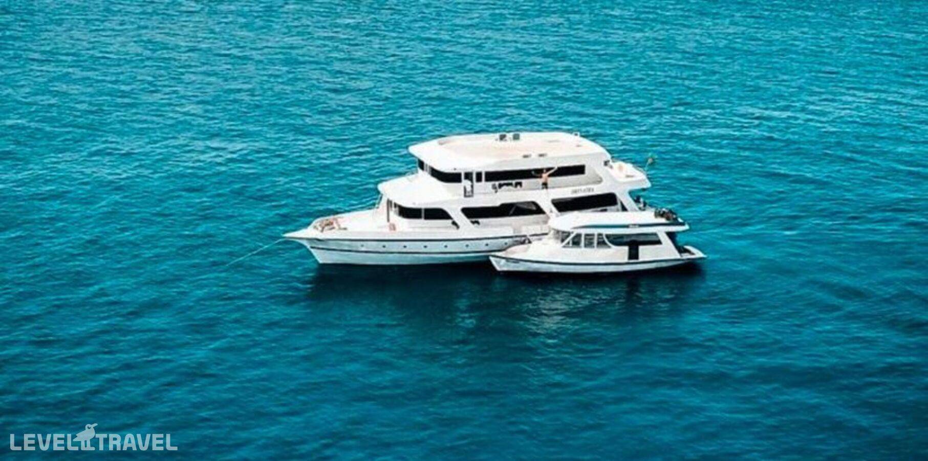 фотографии отеля The Maverick Surf & Dive Lodge Guesthouse в Мальдивы(Лааму Атолл) - фото №9