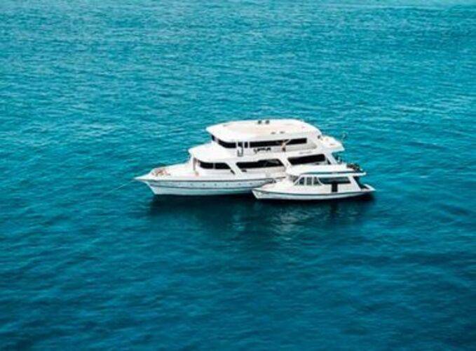 The Maverick Surf & Dive Lodge Guesthouse