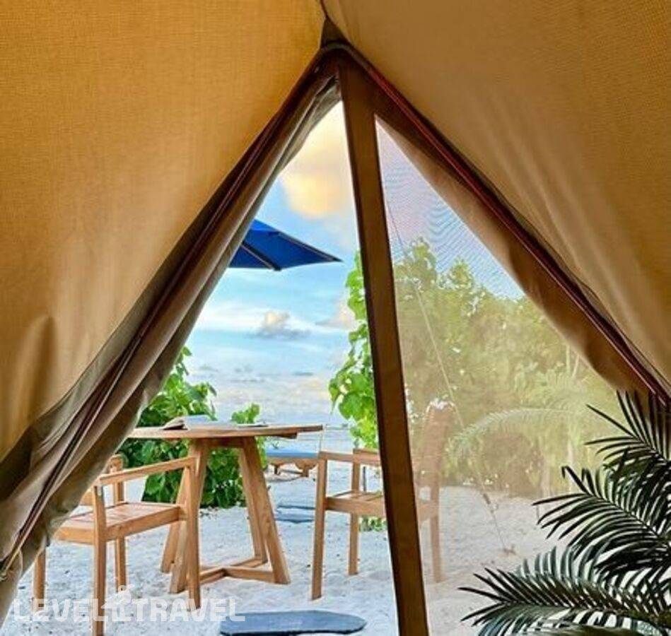 фотографии отеля The Maverick Surf & Dive Lodge Guesthouse в Мальдивы(Лааму Атолл) - фото №10