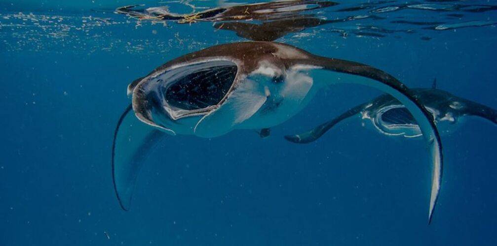 Akomadoo Retreat Guesthouse