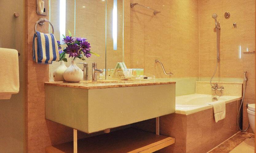 The Leela Hotel