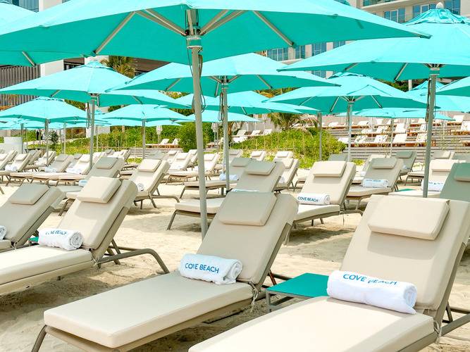 Rove Jbr