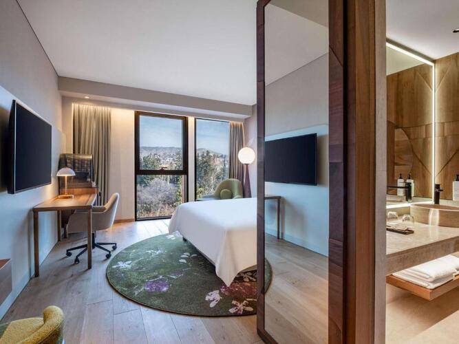 Hotel Swissotel Tbilisi