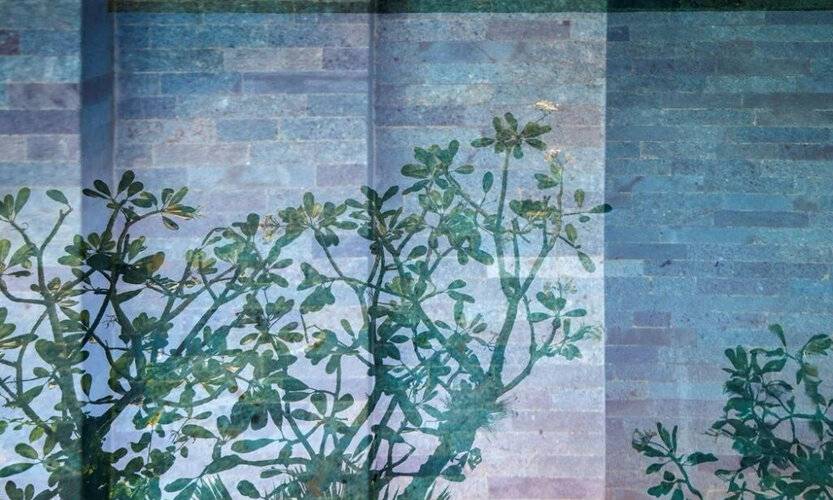 Blossom Eco Luxe Villas By Ekosistem