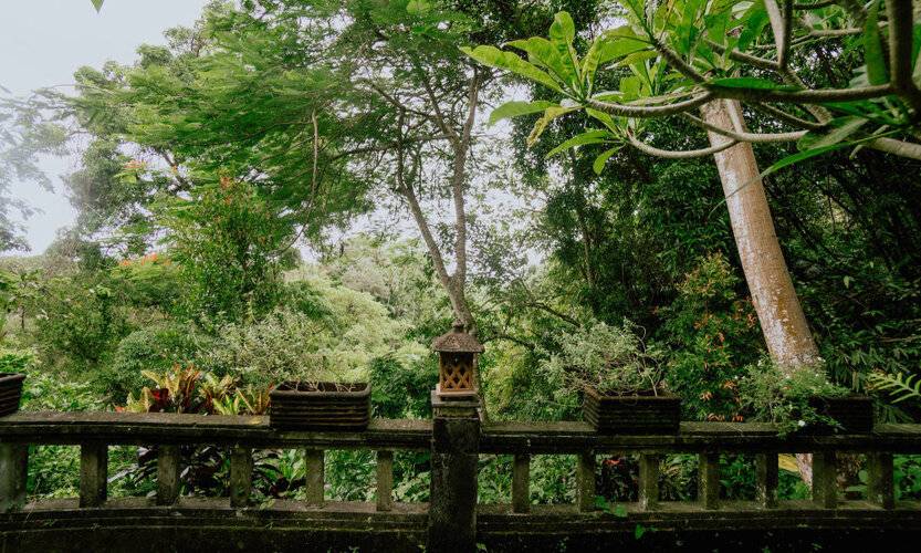 Ubud Dedari Villas