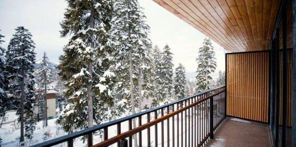 Grand Noel — фото 38