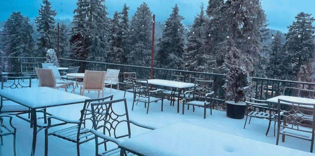 Grand Noel — фото 9