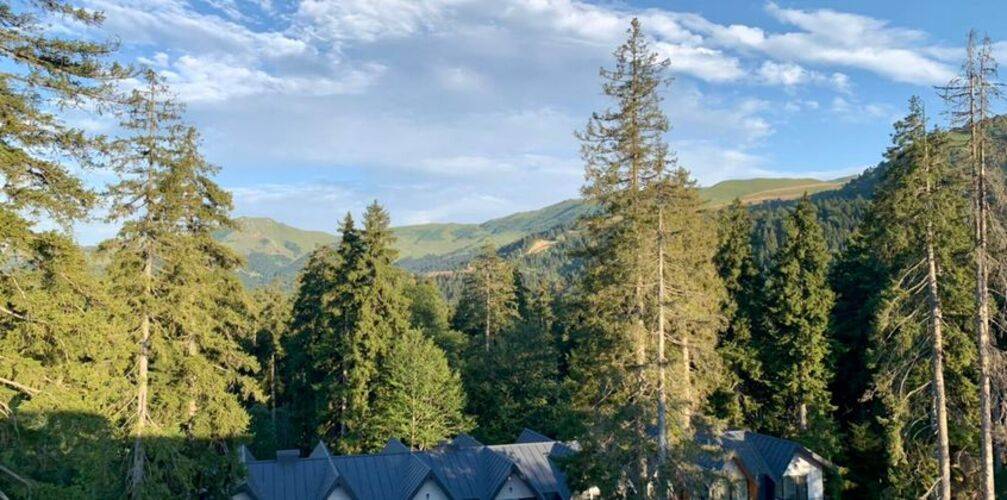 Grand Noel — фото 5