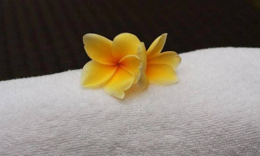 Echoland Bed And Breakfast