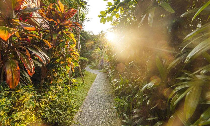 Rama Phala Resort & Spa