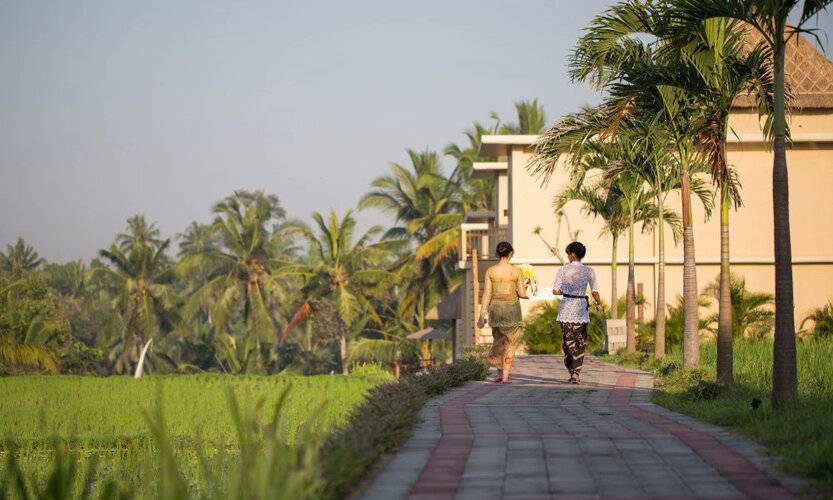 Manyi Village Ubud