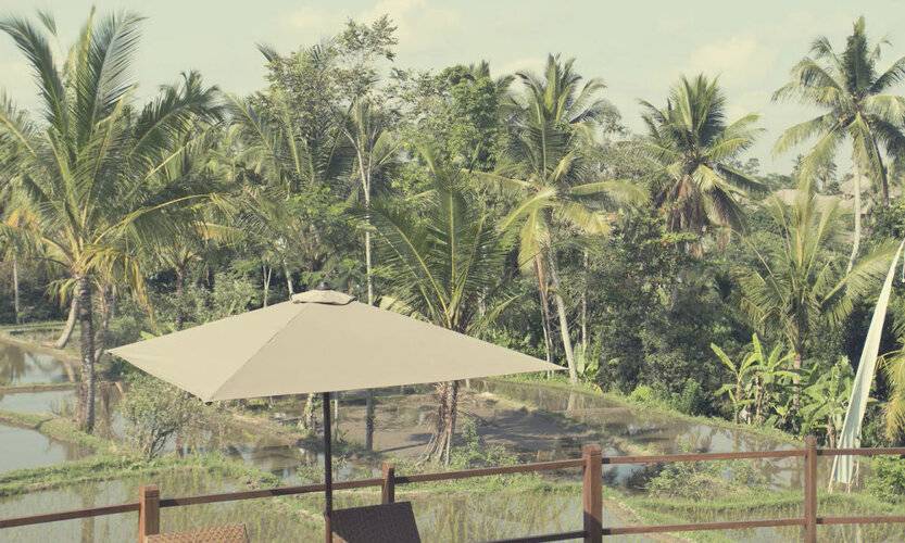 Manyi Village Ubud