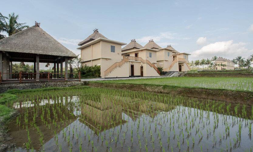 Manyi Village Ubud