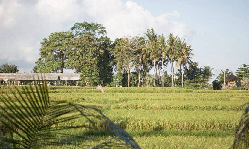 Soulshine Bali