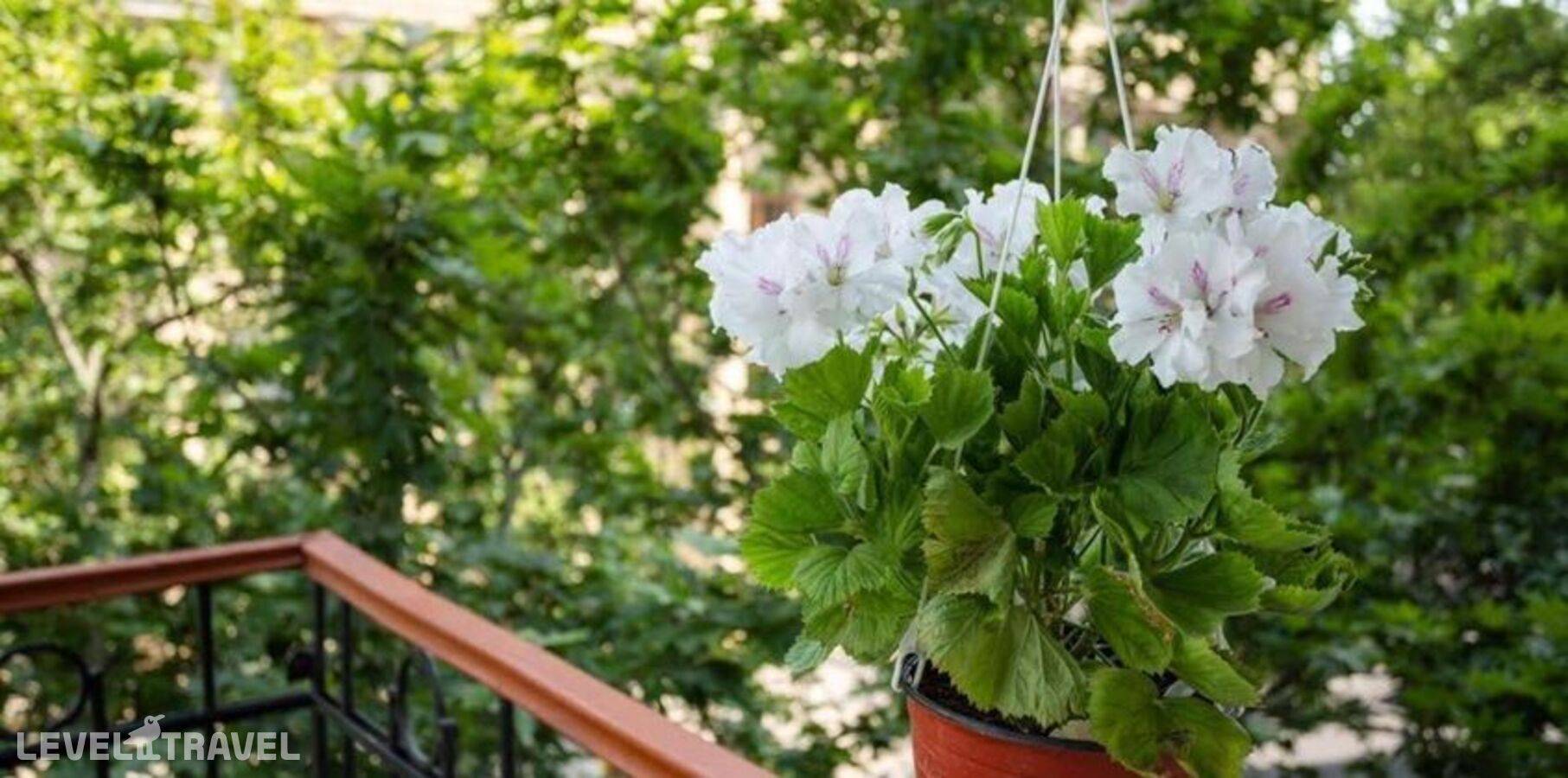 фотографии отеля Elysium в Азербайджан(Баку) - фото №17