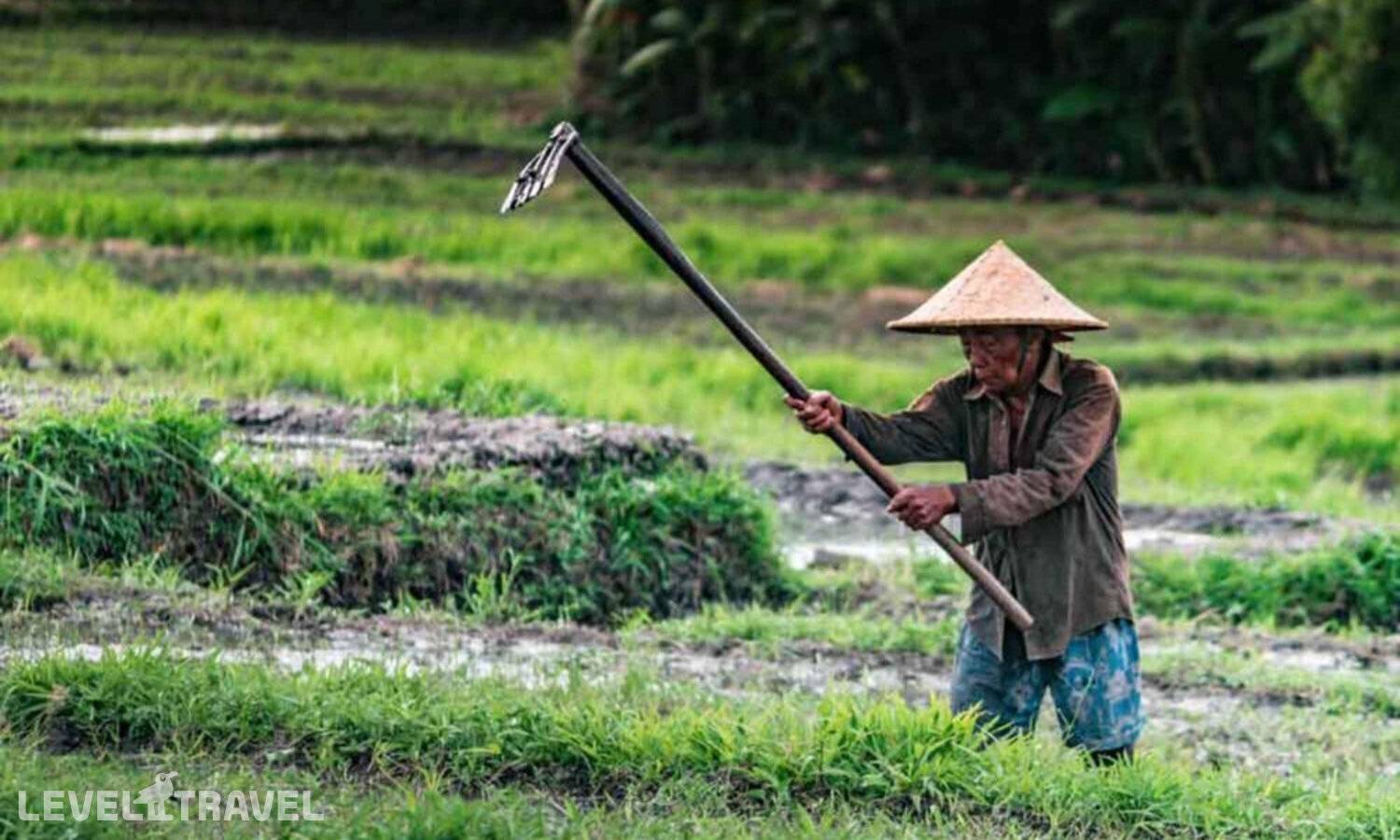 фотографии отеля Adi Jaya Cottages Jungle Suites By Eps в Индонезия(Убуд) - фото №50