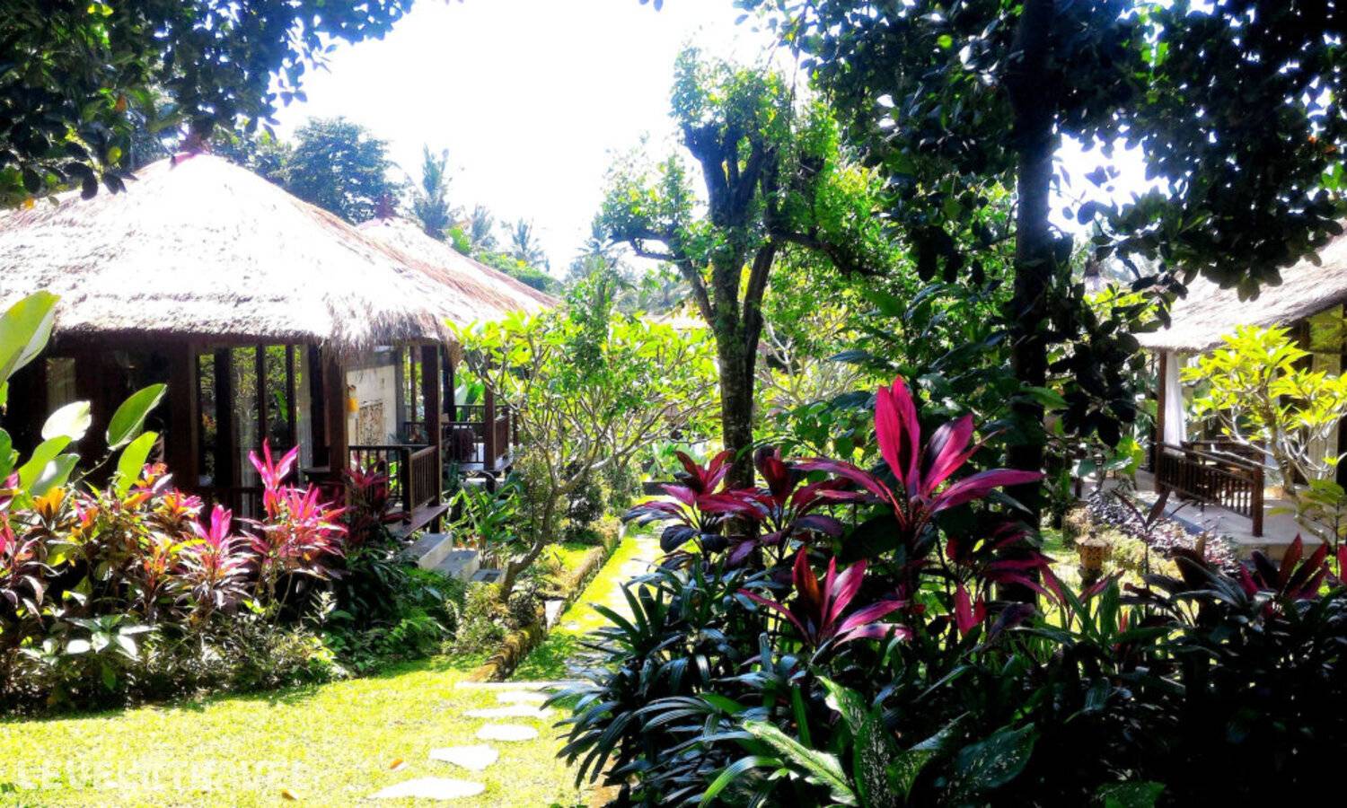 фотографии отеля Astawa House в Индонезия(Убуд) - фото №26