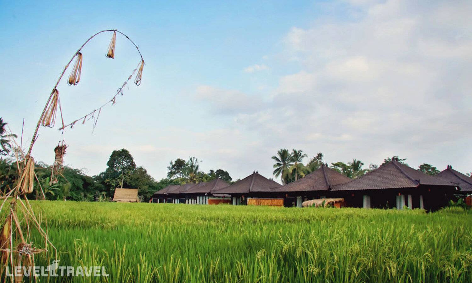 фотографии отеля Kayangan Villa Ubud в Индонезия(Тегаллаланг) - фото №25
