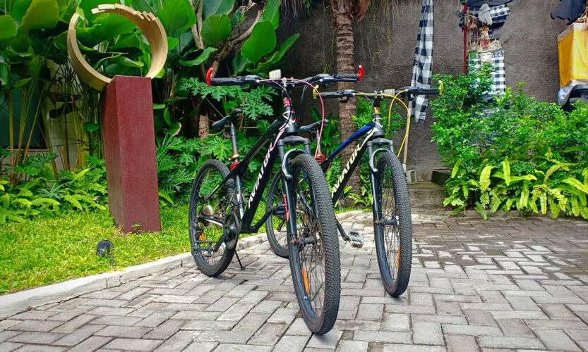 Sanur Art Villas