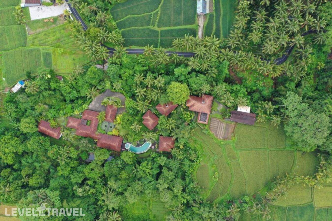 Beingsattvaa Luxury Ubud — фото 4