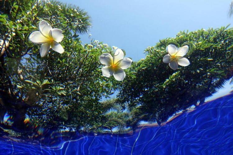 Liberty Dive Resort