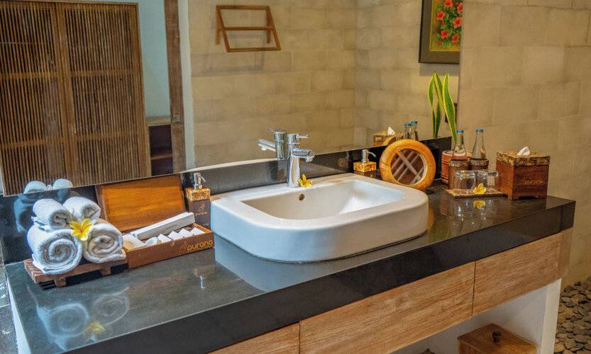 Purana Boutique Resort