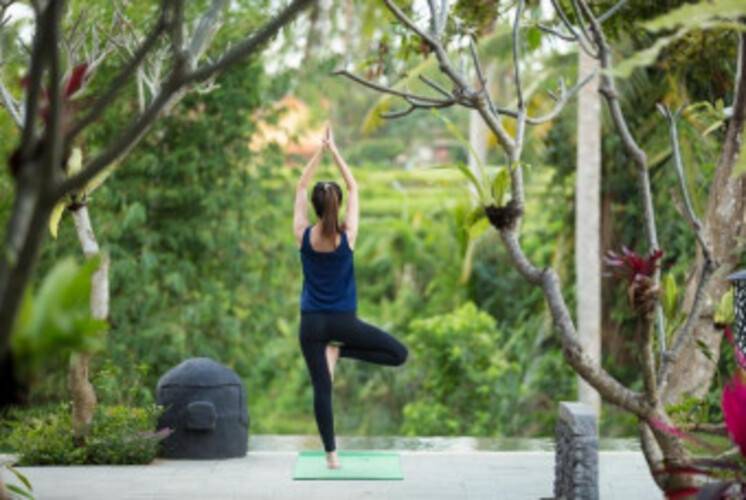 Dwaraka The Royal Villas