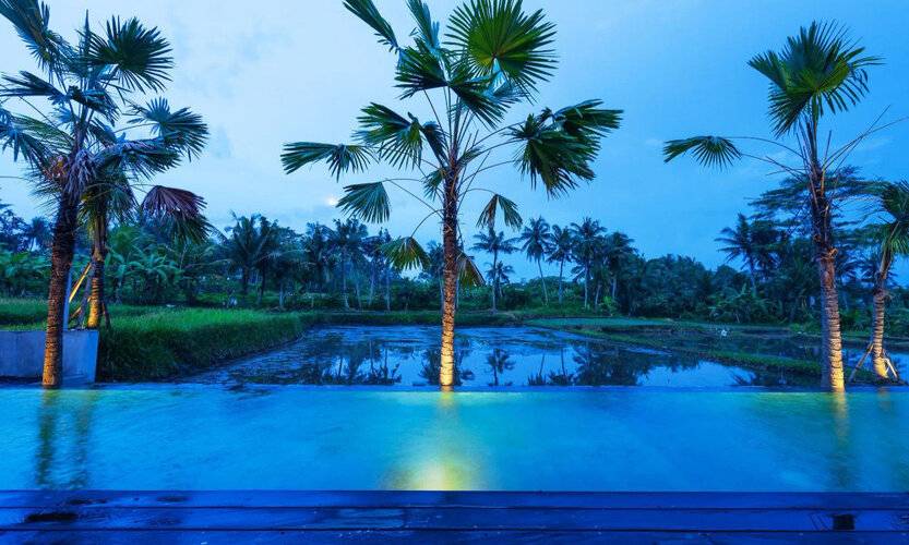 Nayaka Living Ubud