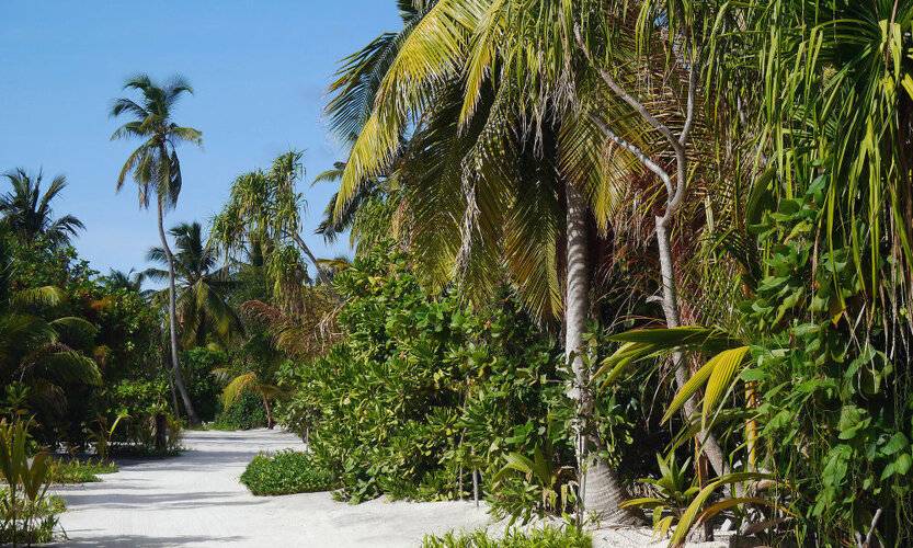 The Residence Maldives