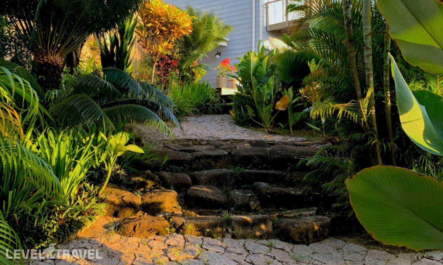 фотографии отеля Red Coconut Self-Catering в Сейшелы(о. Маэ) - фото №33