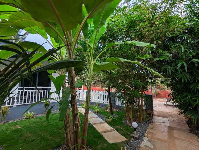 White Tree Resort
