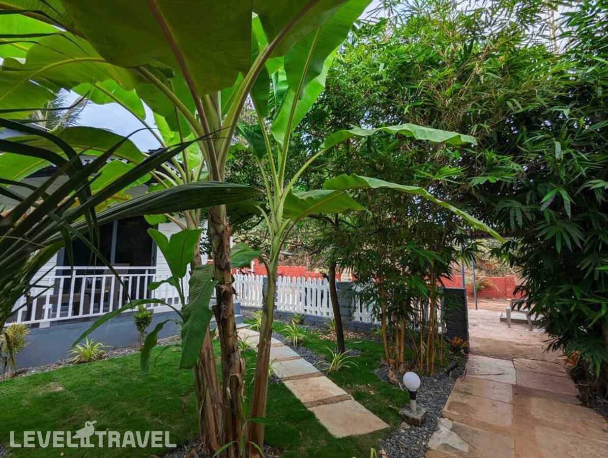 фотографии отеля White Tree Resort в Индия(Арамболь) - фото №11