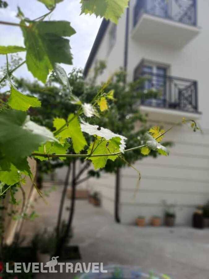 фотографии отеля Гостевой Дом Limonade в Россия(Геленджик) - фото №23