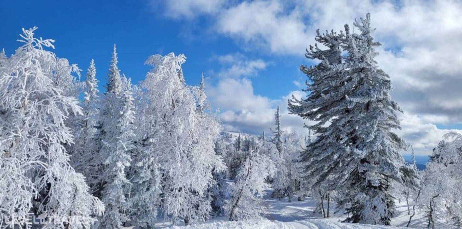 фотографии отеля Ирбис в Россия(Шерегеш) - фото №6