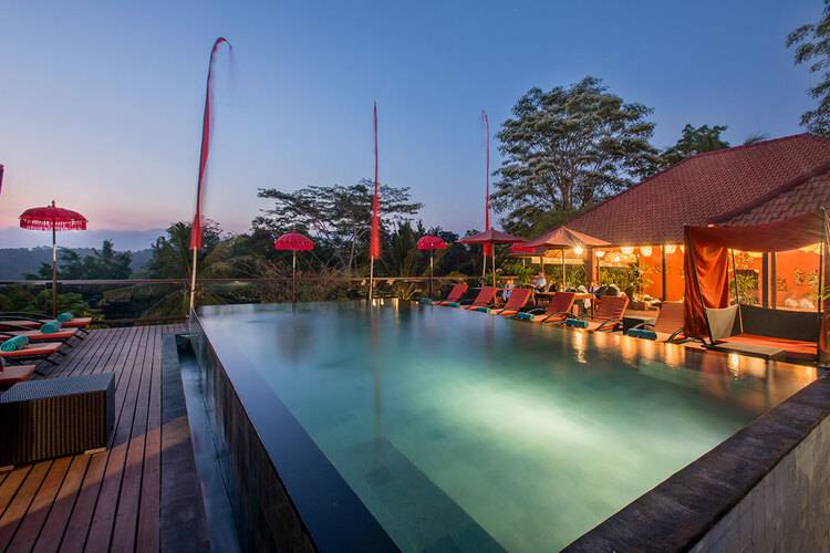 Jungle Retreat By Kupu Kupu