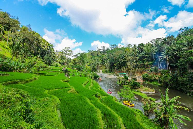 Jungle Retreat By Kupu Kupu