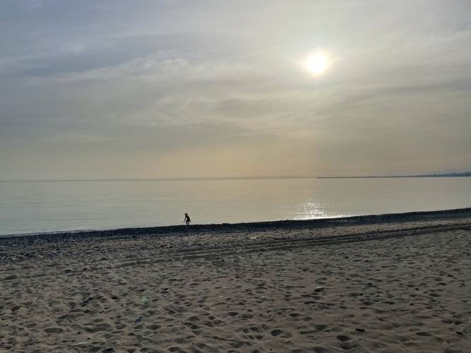 Sea Land Cottege
