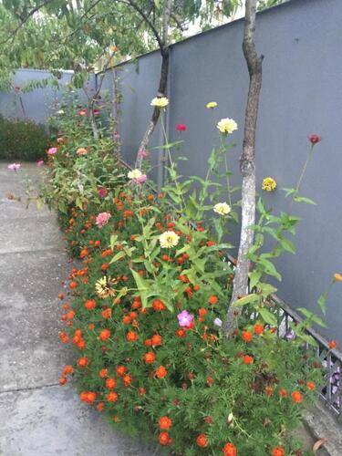 Гостевой Дом На Харания 41