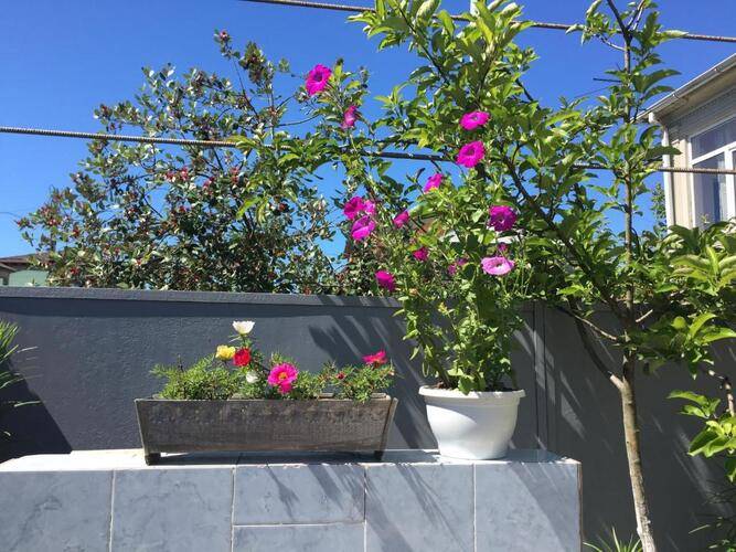 Гостевой Дом На Харания 41