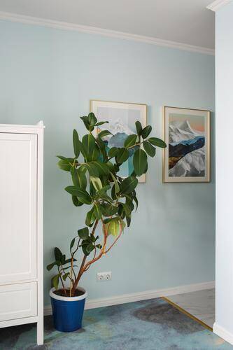 Dao Dé Rooms (Дао Де Румс) На Тигровой