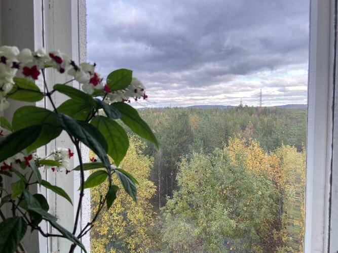 Аэропорт Мурманска