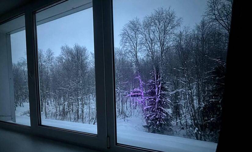 Лапландия