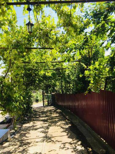 Мини-Отель Мандариновый Сад