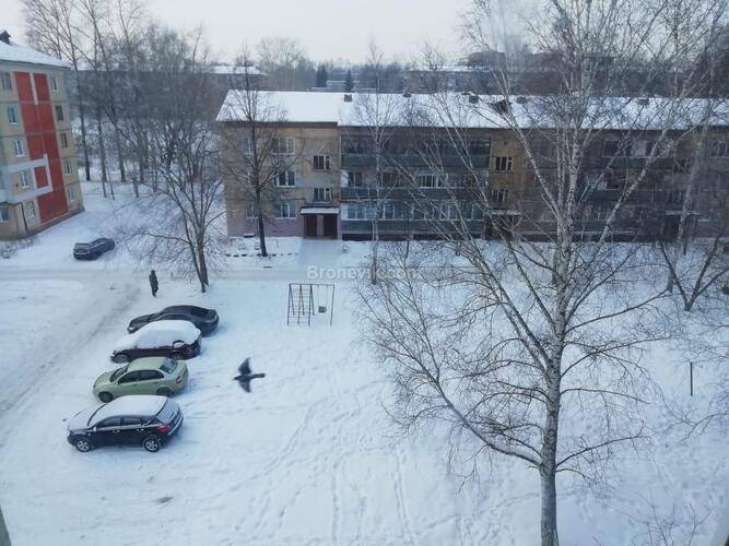 Калина На Улице Строительной 43