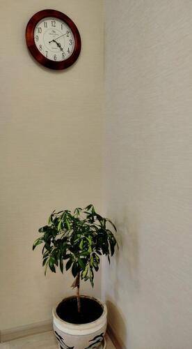 Татьянин Дом На Улице Павла Морозова 87