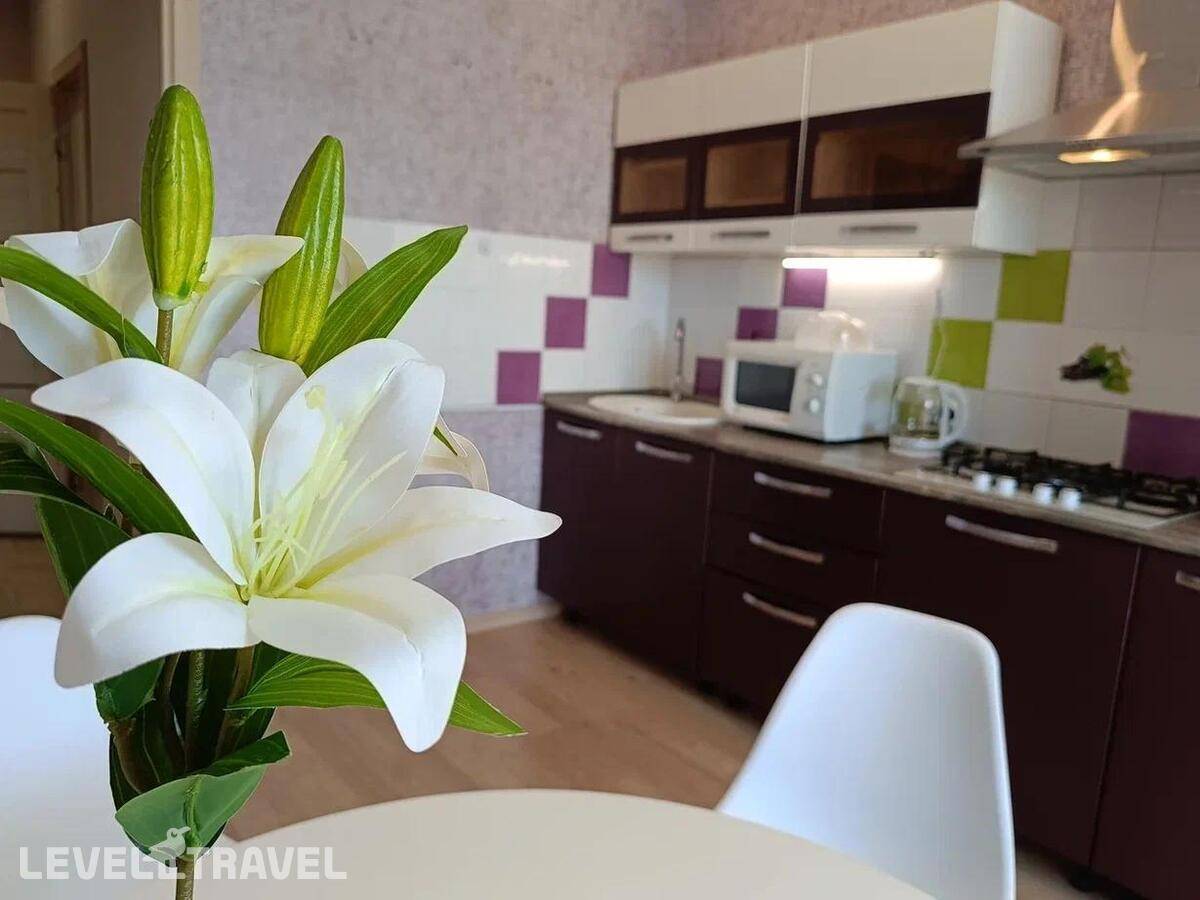 фотографии отеля Апартаменты На Улице 1-Я Перевозная 131б в Россия(Астрахань) - фото №8